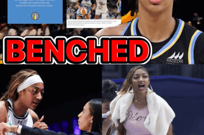 The Chicago Sky Circus: How Angel Reese Became the Achilles Heel of Her Own Franchise