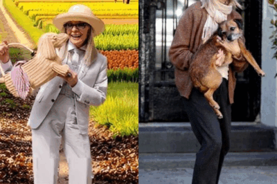 Inside the Secret World of Diane Keaton: Hidden Behind the Rustic Walls of Her Secluded California Farmhouse Lies a Life of Art, Solitude, and Style So Intoxicatingly Beautiful That Even Hollywood’s Biggest Stars Whisper About Its Secrets, From the Stone Fireplaces and Vintage Furniture to the Quiet Corners Where She Escapes Fame, With Every Brick Telling a Story, Every Room Guarding a Memory, and Every Touch Proving That the Most Enigmatic Star of All Is Living a Life More Extraordinary Than Any Role She’s Ever Played on Screen