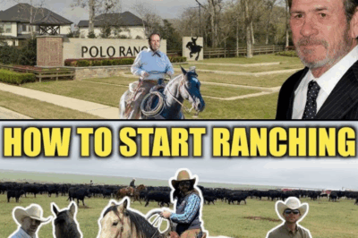 Behind the High Gates of Tommy Lee Jones’s Secret Texas Polo Ranch Lies a World of Untold Stories Where Hollywood Fame Meets Rustic Cowboy Reality, Horses Gallop Through Endless Green Pastures, Family Legacies Are Guarded in Silence, and a Hollywood Legend Chooses Solitude, Tradition, and the Game of Kings Over Red Carpets, Cameras, and Fame—A Hidden Life of Mystery, Wealth, Power, Polo, and Texas Grit That No One in America Expected From the Man Who Once Defined the Toughest Roles on Screen
