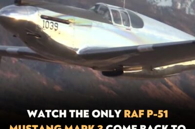 Watch the Only RAF P-51 Mustang Mark 3 Come Back to Flight Through Restoration