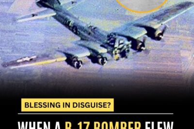 The B-17 that flew without a Cockpit