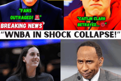 The Queen is Gone, The Kingdom Has Crumbled: How the WNBA Orchestrated Its Own Catastrophic Demise