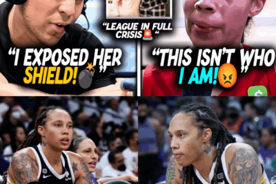 The Bombshell and the Boycott: How a Broadcaster’s Shocking Accusations Against Brittney Griner Plunged the WNBA into Chaos