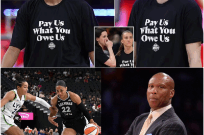 WNBA on the Brink: A Looming Lockout, Unprofitable League, and the Uncomfortable Truth from a Basketball Legend