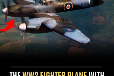 The Plane with the Most Insane Cannons of WW2