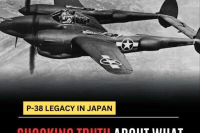 The Shocking Truth About What Japan Thought of the P-38 Lightning
