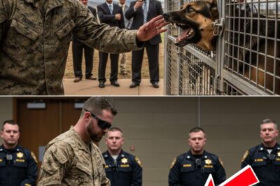 The Blind Veteran, The Condemned K9, and The Secret That Forced Them to Run for Their Lives