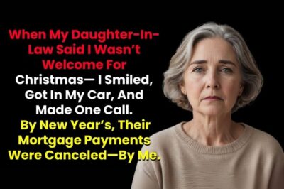 A Mother’s Betrayal: When I Canceled My Son’s Mortgage, a World of Deceit Unraveled
