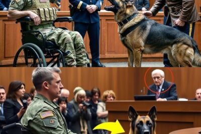 His loyal service dog was accused of a vici0us attack, and the paralyzed veteran was about to lose everything. But in a jaw-dropping courtroom moment, the dog himself helped expose the shocking truth, unmasking the real villain and sparking a fight for justice that swept the nation.