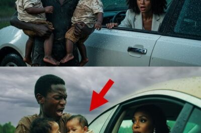 She mourned the perfect husband, the perfect life. But after his death, a single act of kindness revealed the devastating truth: he was a stranger who lived a complete double life. The story of a widow who had to unravel her husband’s secret family to find her own future.