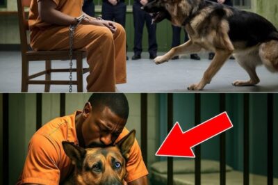 They thought it was a simple, humane last request: a c0ndemned man and his dog. They were wrong. The heartbreaking reunion that followed triggered an astonishing chain of events, a secret revealed that would not only save his life but change the very laws of the land.