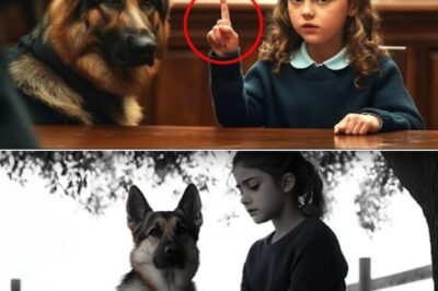 They Thought It Was Just a Cute Trick… But What Happened Next Stunned Everyone