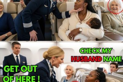 A flight attendant publicly hum.iliated a mother and her crying baby, but she made a fa.tal mistake. She had no idea the woman she just as.saulted was married to the one person who could end her career in an instant. This is the story of how one phone call brought an entire airline to its knees.