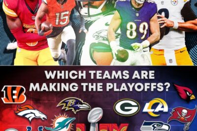 Of the 14 teams that battled in the 2025 NFL playoffs, most are poised for a sh0cking and heartbreaking c0llapse. We’ll unveil the stunning reasons why your favorite team might be a one-hit-wonder and expose the unexpected franchises secretly building a dynasty. The road to Super Bowl glory is paved with deception.