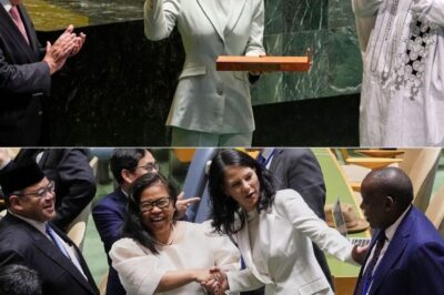 EILMELDUNG! P0litisches Erdbeben bei den Vereinten Nationen: Neuer UN-Präsident überraschend ernannt – während Berlin kopfschüttelnd reagiert, soll Annalena Baerbock in Rage geraten sein! Welche dramatischen Folgen hat dieser Schritt wirklich für Deutschland, Europa und die gesamte internationale Diplomatie?