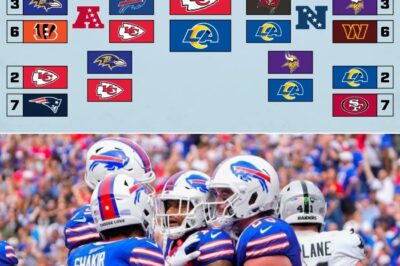A Sh0cking Consensus or a Recipe for Di.saster? Top Experts Unveil Their Controversial 2025 NFL Prophecies, Daringly Predicting the Unforeseen MVP, the Super Bowl’s Ultimate Victor, and the Underdog Wild Card Teams Set to Rewrite Football History.