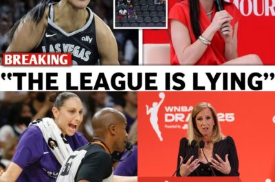 The Great Collapse: How Caitlin Clark’s Absence Exposed the WNBA’s Fragile Empire bb
