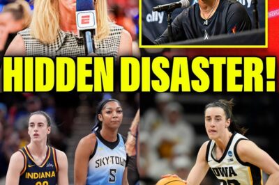 The Illusion of Growth: How the WNBA’s Record Ratings Mask a Troubling Reality bb