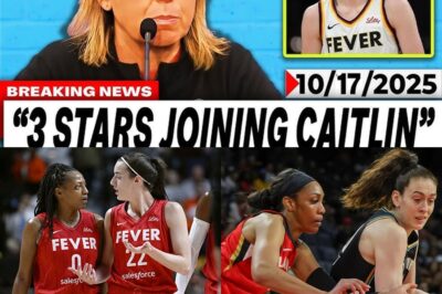 The Ticking Clock: Inside the Indiana Fever’s Desperate ‘Superteam’ Gamble to Save the Caitlin Clark Era bb