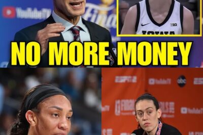 “Not a Write-Off”: Inside the WNBA Revolt That Forced a Showdown With the NBA bb