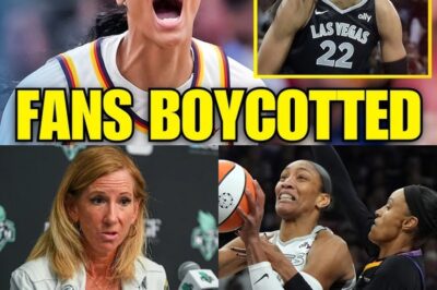 ‘It’s Embarrassing’: WNBA Stars’ Tantrums in Empty Arena Expose League in Crisis bb