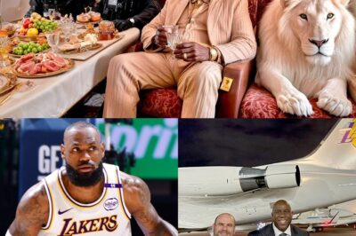 Flying Palaces: Inside the Secretive, Multi-Million Dollar World of NBA Legends’ Private Jets bb