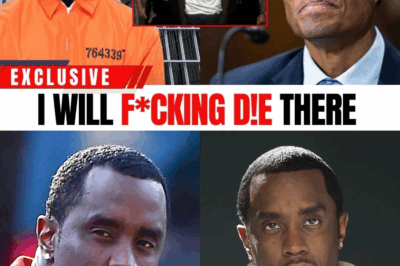 P. Diddy’s Prison Collapse: Horrifying Details of Life Behind Bars and Shocking Allegations Send Tremors Through Hollywood BB