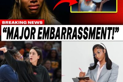 The All-Star Catastrophe: How Caitlyn Clark’s Injury and Angel Reese’s ‘Backfired’ Stunt Exposed the WNBA’s Billion-Dollar Problem bb