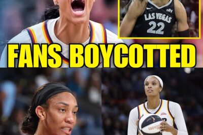 Empty Arenas and Angry Stars: How the WNBA Finals Exposed the League’s Crippling Identity Crisis bb