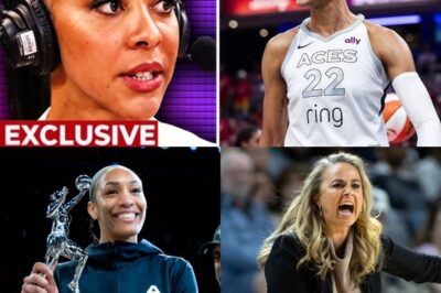 The Unseen Value: A’ja Wilson’s Contract, Caitlin Clark’s Millions, and the WNBA’s Shifting Power Dynamics bb