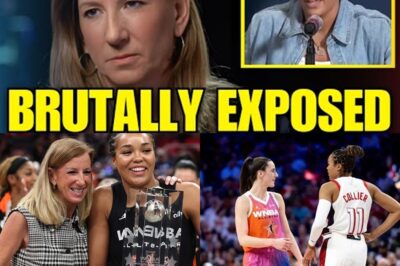 Beyond the Buzzer: Unpacking the WNBA’s Most Controversial Plays and the Stars at the Heart of the Storm bb