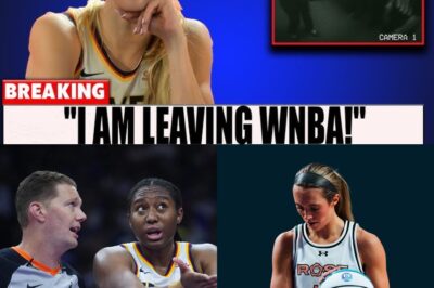 Robbed in Plain Sight: The Story of the Indiana Fever’s Controversial Loss and the Heart of a Champion bb