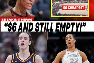 The $6 Finals Ticket: How Caitlin Clark’s Absence Exposed the WNBA’s Alarming Reality bb