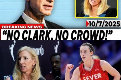 The WNBA’s Humiliating Reality: Empty Finals Arenas Expose a League’s Colossal Miscalculation Without Its Brightest Star bb