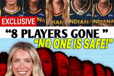Fever Pitch: Indiana’s Mass Roster Exodus Signals a High-Stakes Bet on the Caitlin Clark Era bb