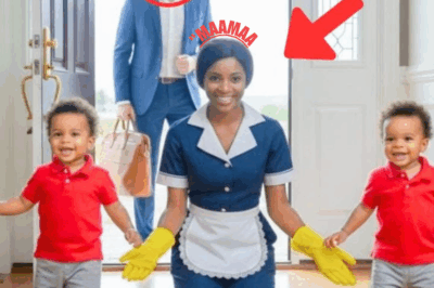 BILLIONAIRE’S TWINS WERE BORN PARALYZED AND COULDN’T SPEAK—WHAT HE SAW THE MAID DOING SHOCKED HIM