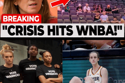 WNBA in Freefall: Owners Break Silence as Caitlyn Clark’s Injury Triggers Stunning 55% Ratings Collapse BB