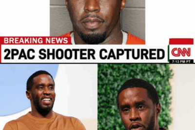 The Diddy Scandal: Leaked Evidence Uncovers a Criminal Network, Shocking Hollywood and Implicating Names No One Saw Coming BB