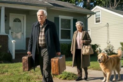 Terrified Elderly Couple Fled Their Son’s Home at Midnight After Overhearing Their Daughter-in-Law’s Chilling Secret Plan That Left the Entire Neighborhood in Sh0ck!