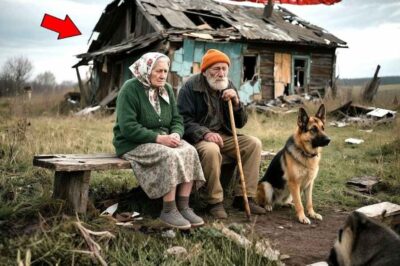 Abandoned and Heartbroken: This Elderly Couple Was Left Alone by Their Children — What They Secretly Did to a Crumbling Mountain Cabin Will Leave You Absolutely Speechless!