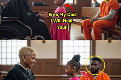 Desperate Girl Pleads Before the Para.lyzed Judge: ‘Release My Father and I Will Cure You’ — Everyone Burst Into Laughter, But Moments Later the Unthinkable Left the Court in Silence