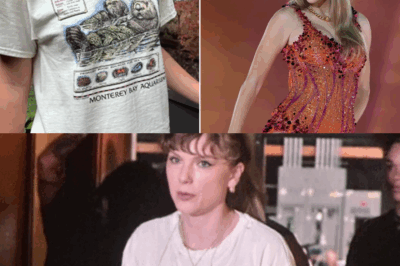 Taylor Swift’s vintage Monterey Bay Aquarium shirt is making waves beyond fashion—fans have launched a $1M fundraiser for sea otters inspired by her iconic look! How did a simple outfit spark such an incredible cause? Discover the full story behind this viral moment and join the movement now!