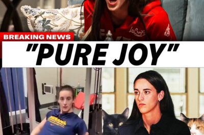 The Unfiltered Clark: From Cat Phobia to Karaoke, How Caitlin Clark’s Off-Court Humor is Cementing Her Global Appeal bb