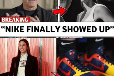 The $30 Million Ultimatum: How Adidas’s Aggressive Pursuit Forced Nike’s Hand and Exposed the Systemic Undervaluation of Caitlin Clark bb