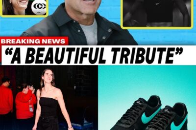 The $30 Million Reckoning: How Caitlin Clark’s Market Power Forced Nike to Confront Its Undervaluation of Women’s Sports bb