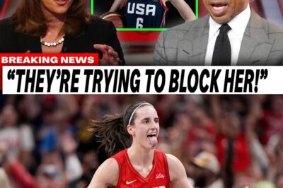 The Clark Effect: Inside the WNBA Media Panic and the Political Civil War That Forced an Olympic Revolution bb