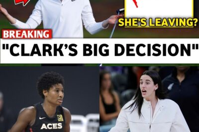 WNBA Crisis: $25 Million Threat from Rival League Exposed by Legend as Caitlin Clark’s Decision Looms bb