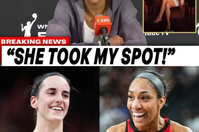 The $8 Million Gulf: How Caitlin Clark’s Unprecedented Commercial Reign Fueled A’ja Wilson’s Public Fury and Exposed the WNBA’s Changing Guard bb