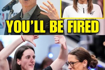 Dynasty or Disaster: How Alleged Abuse of Power Over Caitlyn Clark Triggered a Fury-Fueled Takeover by the Indiana Fever Owner’s Son bb