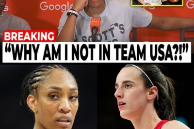The Cost of Rivalry: How A’ja Wilson’s Public Meltdown Over Caitlin Clark’s Global Rise Led to a Shocking Team USA Snub bb